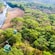 Dos góndolas sobre un río y un bosque
